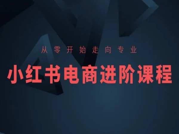 从零开始走向专业，小红书电商进阶课程-揽颜居工坊