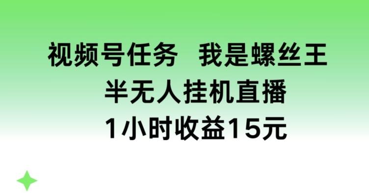 视频号任务，我是螺丝王， 半无人挂机1小时收益15元【揭秘】-揽颜居工坊