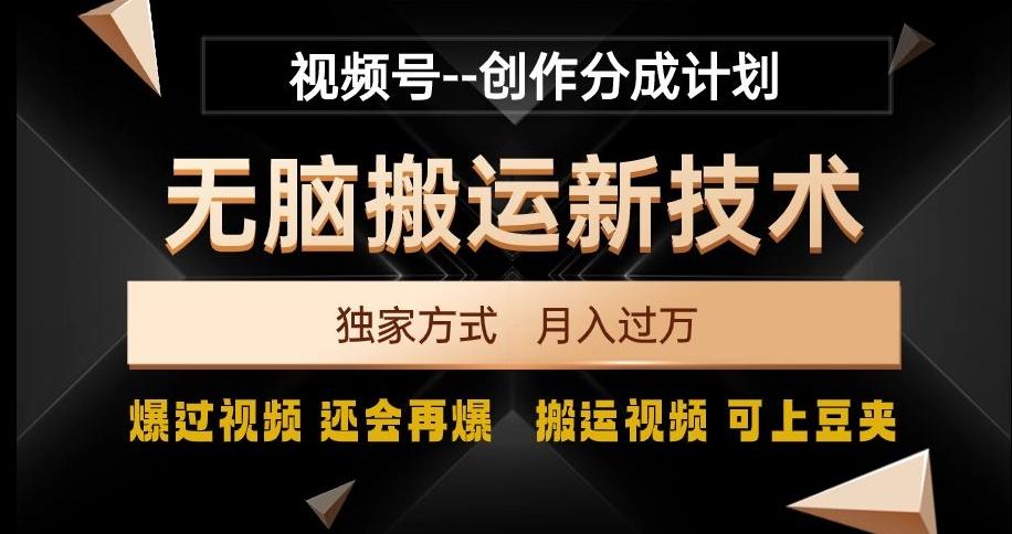 视频号无脑搬运新技术，破原创壕流量，独家方式，爆过视频，还会再爆【揭秘】-揽颜居工坊