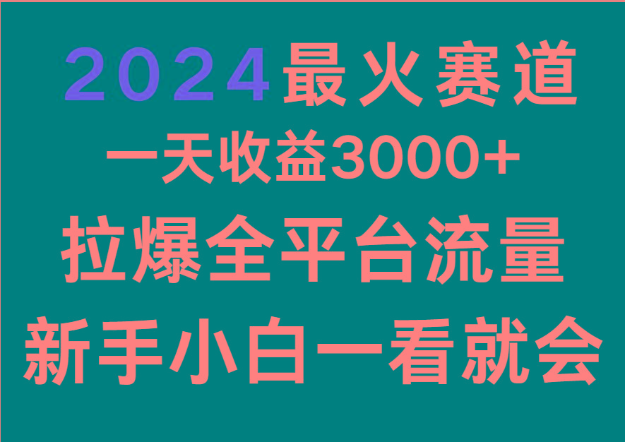2024最火赛道，一天收一3000+.拉爆全平台流量，新手小白一看就会-揽颜居工坊