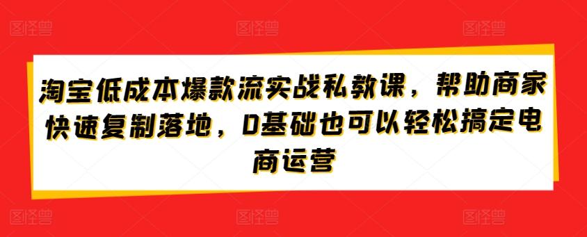 淘宝低成本爆款流实战私教课，帮助商家快速复制落地，0基础也可以轻松搞定电商运营-揽颜居工坊