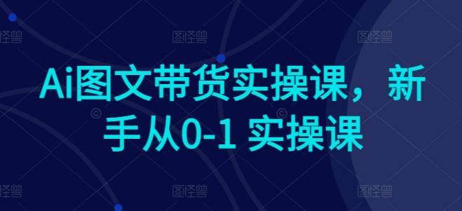Ai图文带货实操课，新手从0-1 实操课-揽颜居工坊