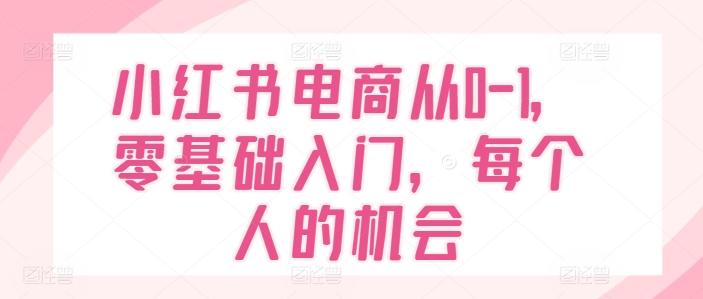 小红书电商从0-1，零基础入门，每个人的机会-揽颜居工坊