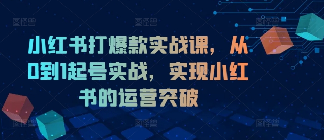 小红书打爆款实战课，从0到1起号实战，实现小红书的运营突破-揽颜居工坊