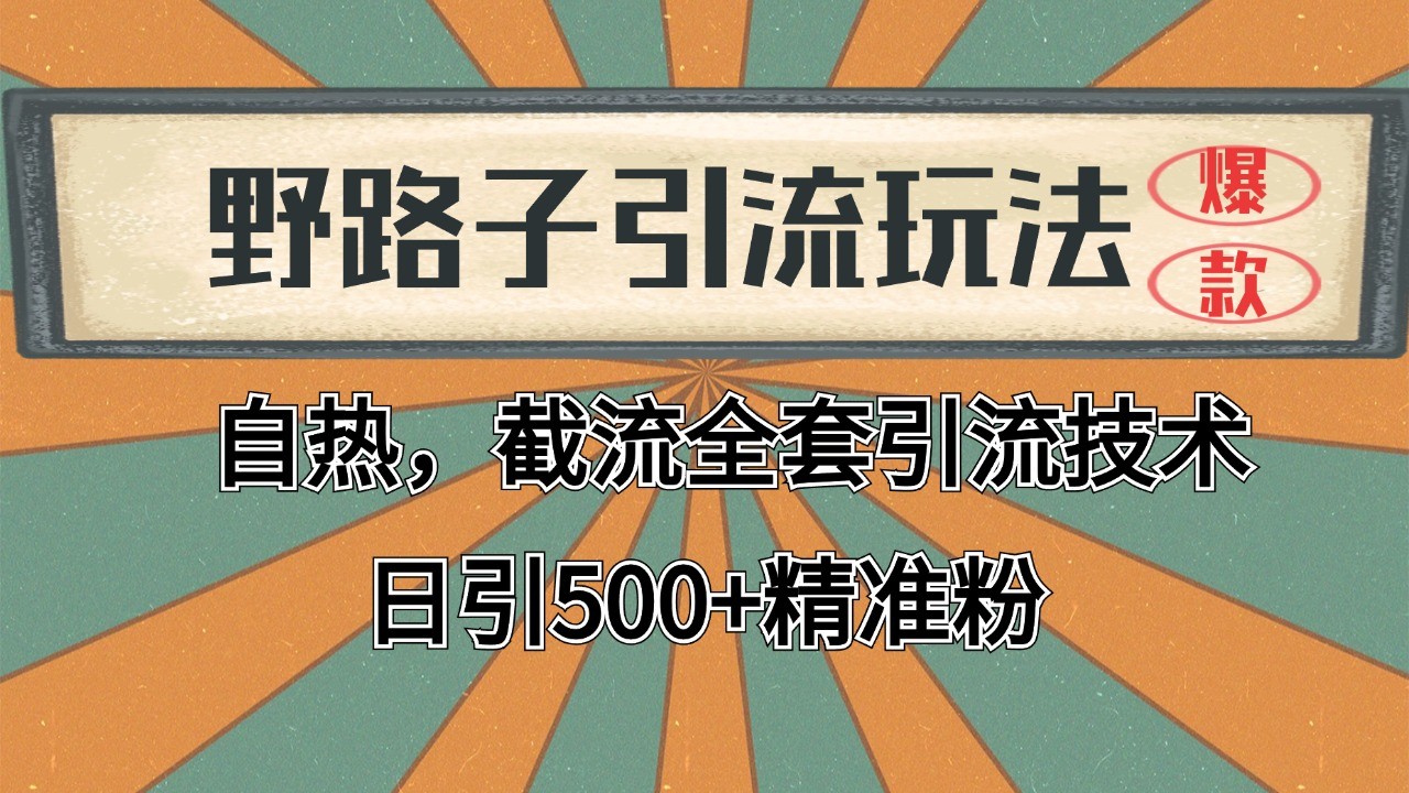 抖音小红书视频号全平台引流打法，全自动引流日引2000+精准客户-揽颜居工坊