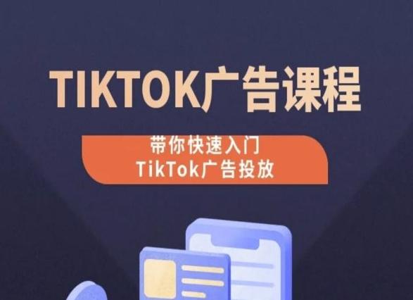 TikTok广告投放课程，从0-1实操课，带你快速入门TikTok广告投放-揽颜居工坊