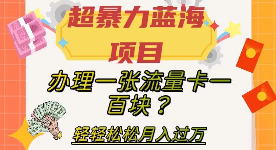 超暴力蓝海项目，办理一张流量卡一百块？轻轻松松月入过万，保姆级教程【揭秘】-揽颜居工坊