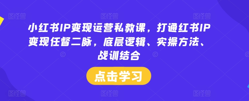 小红书IP变现运营私教课，打通红书IP变现任督二脉，底层逻辑、实操方法、战训结合-揽颜居工坊