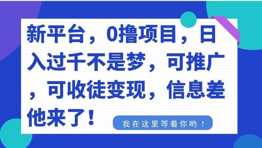 不要再花冤枉钱了，0撸项目，每天坚持，稳定1000+-揽颜居工坊