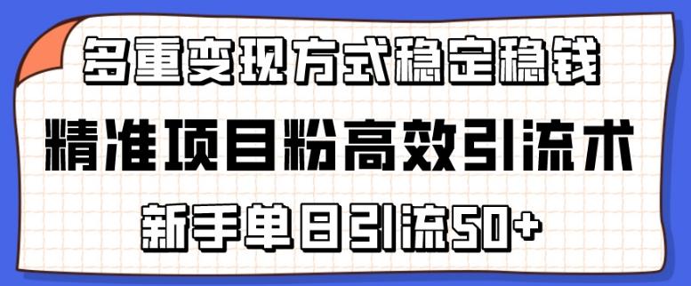 精准项目粉高效引流术，新手单日引流50+，多重变现方式稳定赚钱【揭秘】-揽颜居工坊