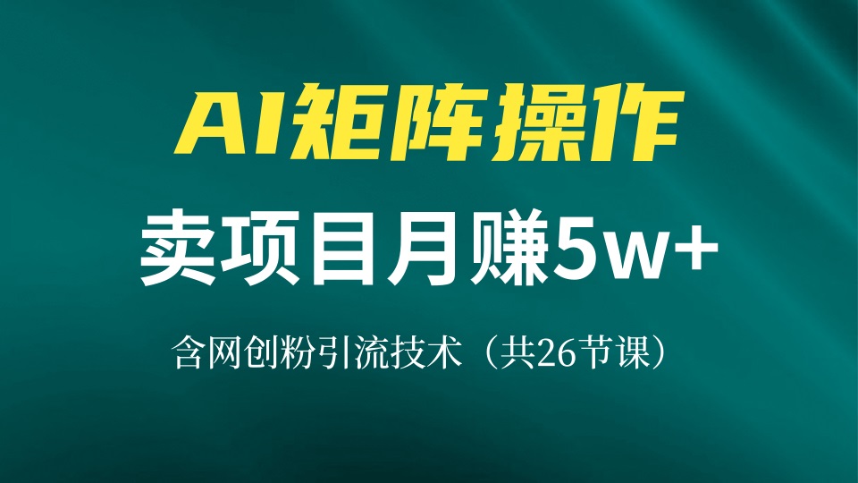 网创IP打造课,借助AI卖项目月赚5万+,含引流技术(共26节课-揽颜居工坊