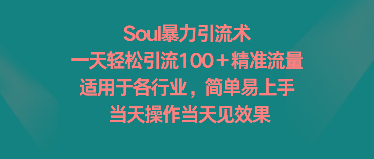 Soul暴力引流术，一天轻松引流100＋精准流量，适用于各行业，简单易上手！-揽颜居工坊