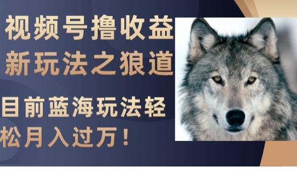 视频号撸收益新玩法之狼道，目前蓝海玩法，轻松月入过万【揭秘】-揽颜居工坊