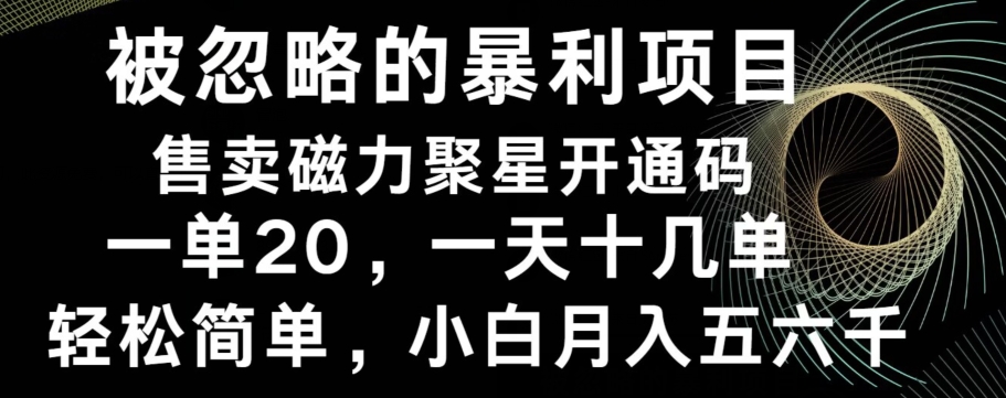 被忽略的暴利项目！售卖磁力聚星开通码，一单20，一天十几单，轻松月入五六千-揽颜居工坊