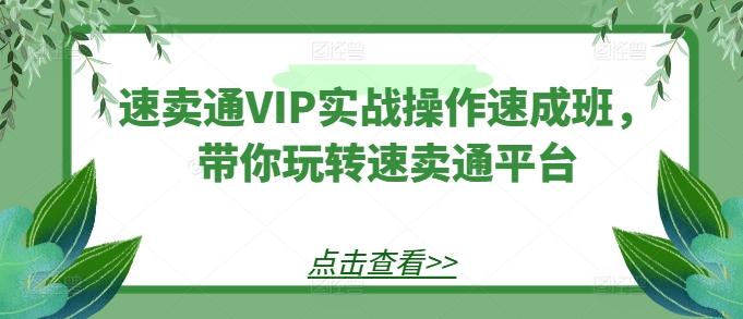 速卖通VIP实战操作速成班,带你玩转速卖通平台-揽颜居工坊