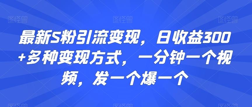 最新S粉引流变现，日收益300+多种变现方式，一分钟一个视频，发一个爆一个【揭秘】-揽颜居工坊