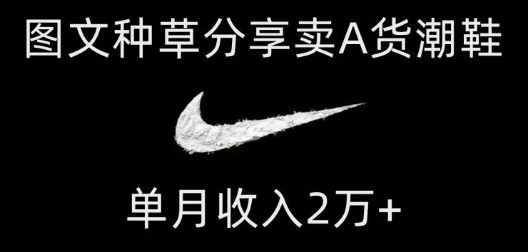 靠图文种草分享卖A货潮鞋，每天一小时，单月收入2万+【揭秘】-揽颜居工坊