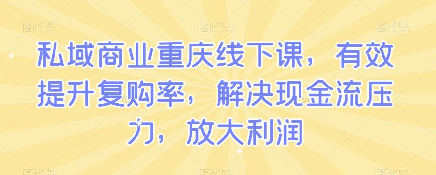 私域商业重庆线下课，有效提升复购率，解决现金流压力，放大利润-揽颜居工坊