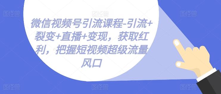 微信视频号引流课程-引流+裂变+直播+变现，获取红利，把握短视频超级流量风口-揽颜居工坊