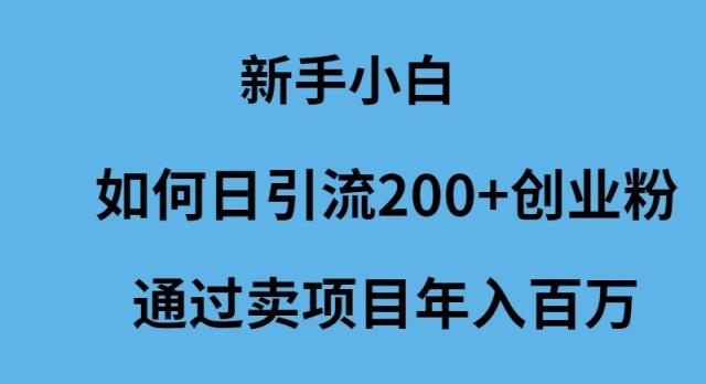 (9668期)新手小白如何日引流200+创业粉通过卖项目年入百万-揽颜居工坊