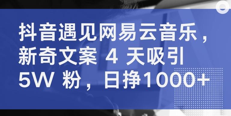 抖音遇见网易云音乐，新奇文案 4 天吸引 5W 粉，日挣1000+【揭秘】-揽颜居工坊