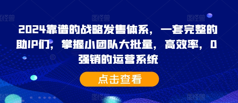 2024靠谱的战略发售体系，一套完整的助IP们，掌握小团队大批量，高效率，0 强销的运营系统-揽颜居工坊