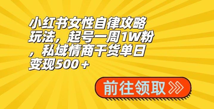 小红书女性自律攻略玩法，起号一周1W粉，私域情商干货单日变现500＋-揽颜居工坊