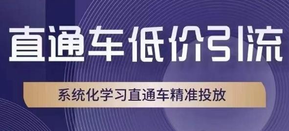 直通车低价引流课，系统化学习直通车精准投放-揽颜居工坊