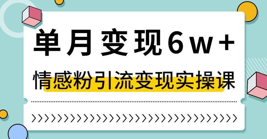 单月变现6W+，抖音情感粉引流变现实操课，小白可做，轻松上手，独家赛道【揭秘】-揽颜居工坊