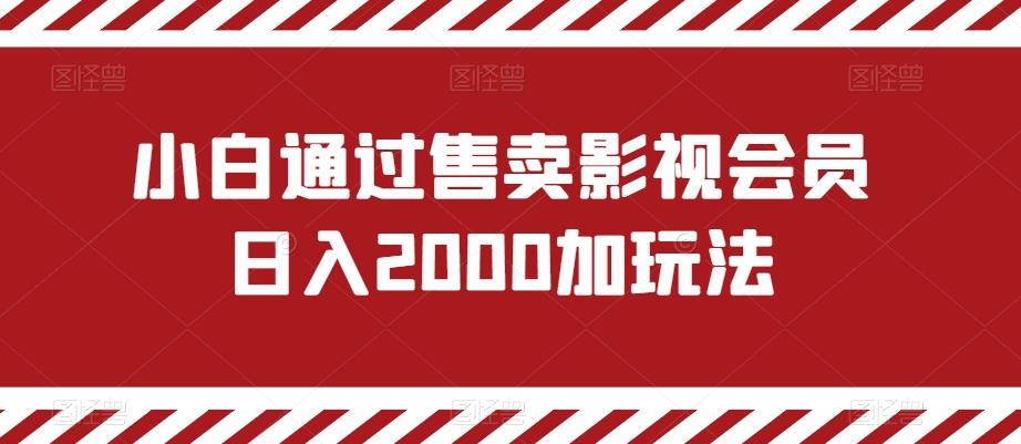 小白通过售卖影视会员日入2000加玩法-揽颜居工坊