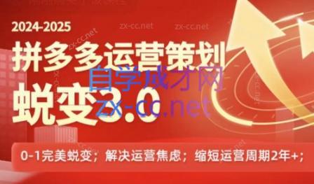 大力老师·2024拼多多运营策略蜕变3.0-揽颜居工坊