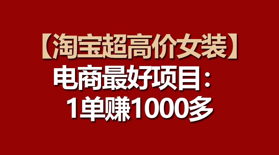 【淘宝超高价女装】电商最好项目：一单赚1000多-揽颜居工坊