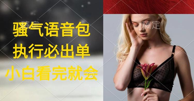 (9589期)执行就出单，日入2000+，超火骚气语音包，小白看完课程就能马上实操-揽颜居工坊