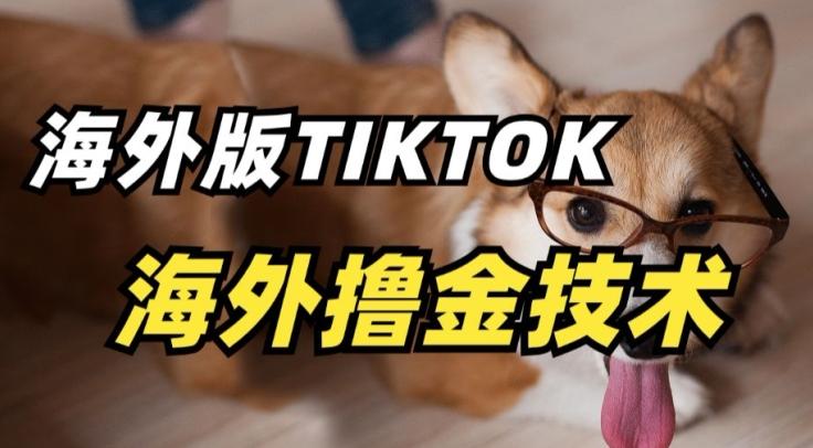 抖音海外版tiktok撸金技术，这个风口行业，赚钱真的不难【揭秘】-揽颜居工坊