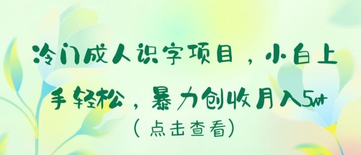 冷门成人识字项目，小白上手轻松，暴力创收月入5w+【揭秘】-揽颜居工坊