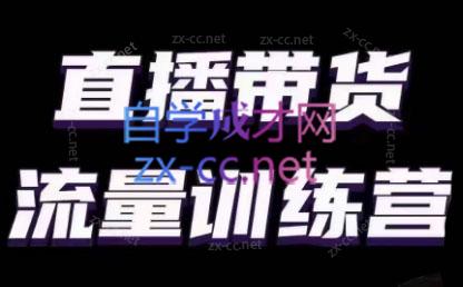 婉婉·直播带货课程系列合集(更新8月)-揽颜居工坊