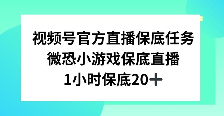 视频号直播任务，微恐小游戏，1小时20+【揭秘】-揽颜居工坊