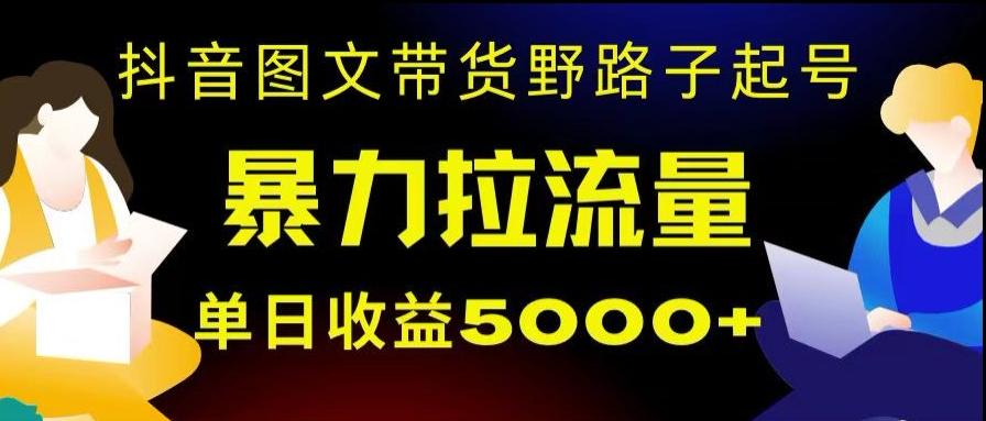 抖音图文带货暴力起号，单日收益5000+，野路子玩法，简单易上手，一部手机即可【揭秘】-揽颜居工坊