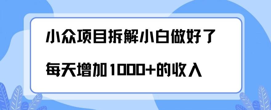 小众项目拆解，小白做好了每天可增加1000多的收入-揽颜居工坊