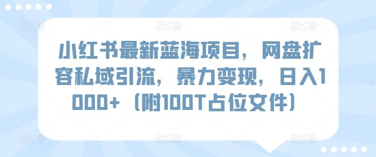小红书最新蓝海项目，网盘扩容私域引流，暴力变现，日入1000+(附100T占位文件)【揭秘】-揽颜居工坊