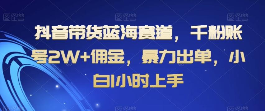 抖音带货蓝海赛道，千粉账号2W+佣金，暴力出单，小白1小时上手【揭秘】-揽颜居工坊