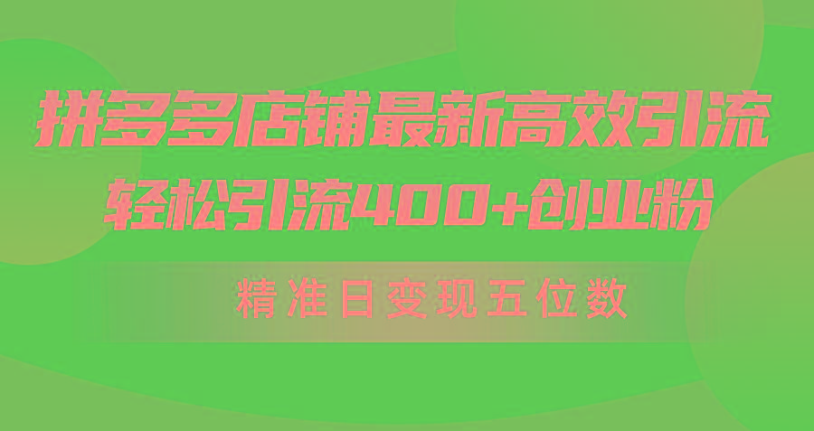 (10041期)拼多多店铺最新高效引流术，轻松引流400+创业粉，精准日变现五位数！-揽颜居工坊
