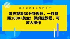 每天观看30分钟视频，一月躺赚1000+美金！保姆级教程，可放大操作【揭秘】-揽颜居工坊