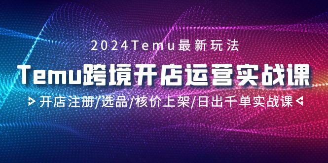 2024Temu跨境开店运营实战课，开店注册/选品/核价上架/日出千单实战课-揽颜居工坊