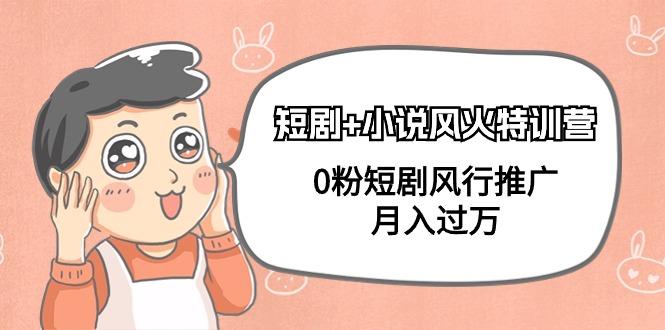 (9374期)短剧+小说风火特训营，0粉短剧风行推广，月入过万(102节课)-揽颜居工坊