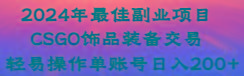 2024年最佳副业项目 CSGO饰品装备交易 轻易操作单账号日入200+-揽颜居工坊