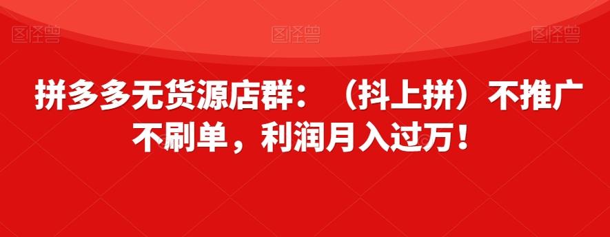 拼多多无货源店群：（抖上拼）不推广不刷单，利润月入过万！【揭秘】-揽颜居工坊