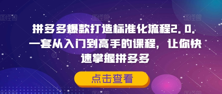 拼多多爆款打造标准化流程2.0，一套从入门到高手的课程，让你快速掌握拼多多-揽颜居工坊