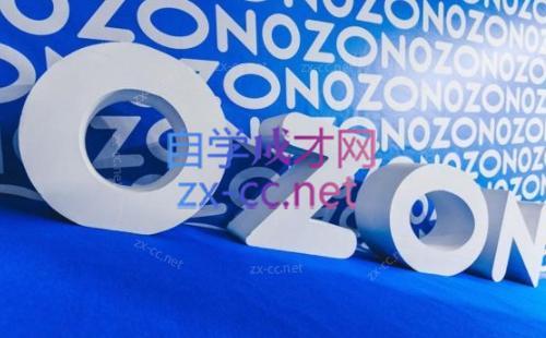 森哥·出海俄罗斯电商实操(2024)-揽颜居工坊