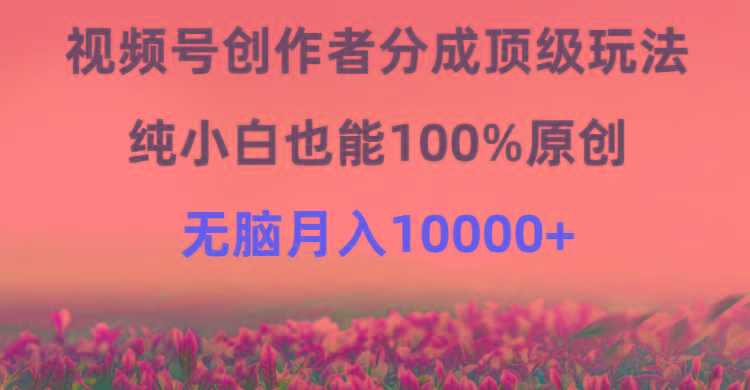 (9608期)视频号创作者分成顶级玩法，纯小白也能100%原创，无脑月入10000+-揽颜居工坊